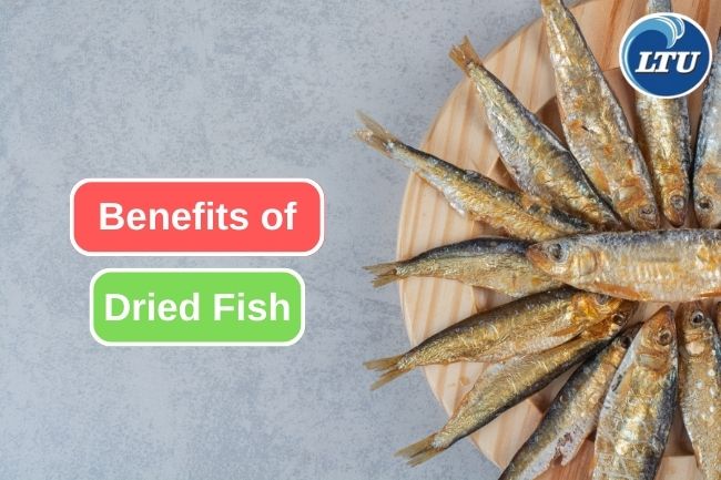 5 Benefits Of Drying Methods On Fish Preservation